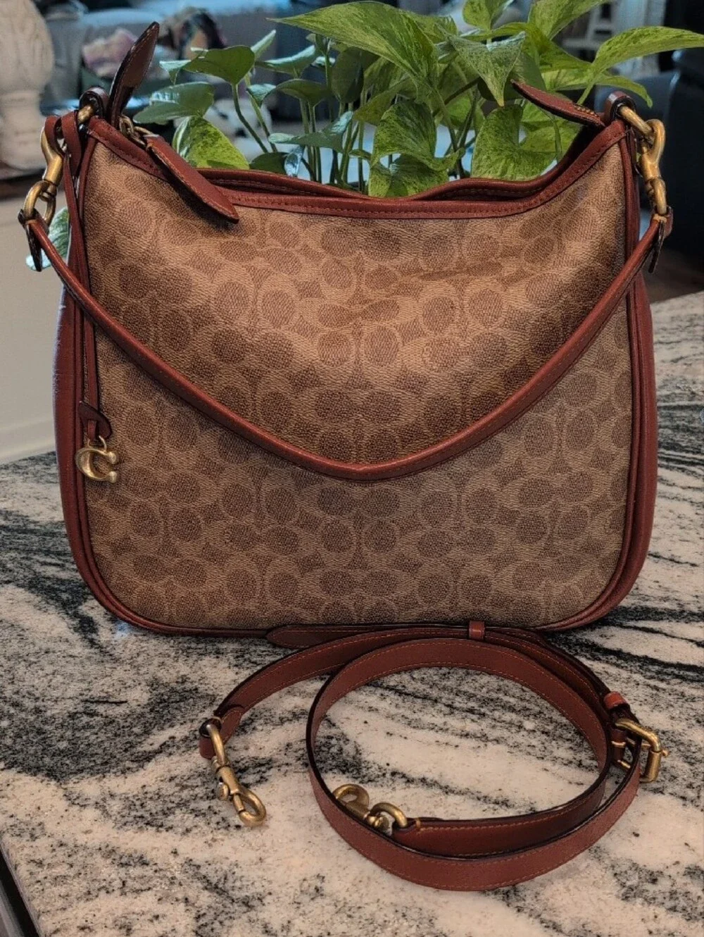 Coach Cary Signature Canvas And Leather Hobo Bag